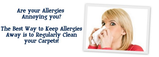 Carpet Cleaning Fairfax,  VA