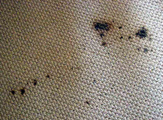 Spot & Stain Removal Fairfax,  VA